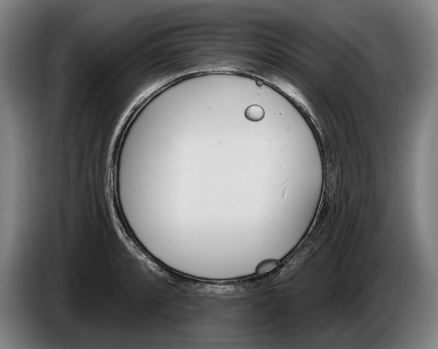 X0000086251088200704191837
