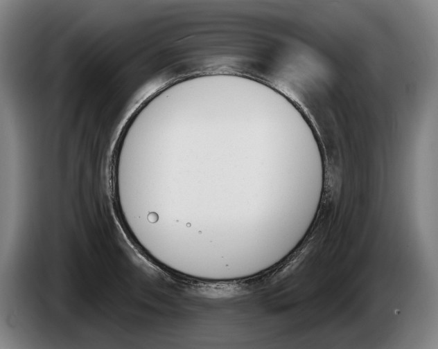 X0000086251090200704191837