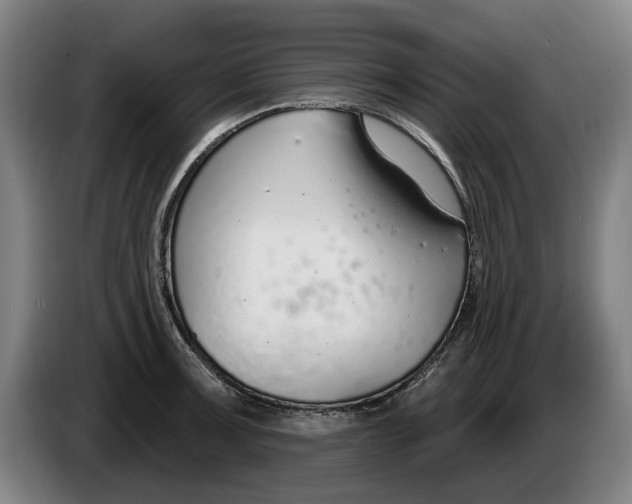 X0000086251091200704191837