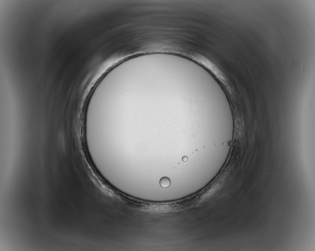 X0000086251094200704191837