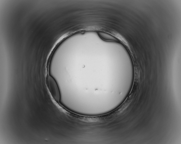 X0000086251095200704191837