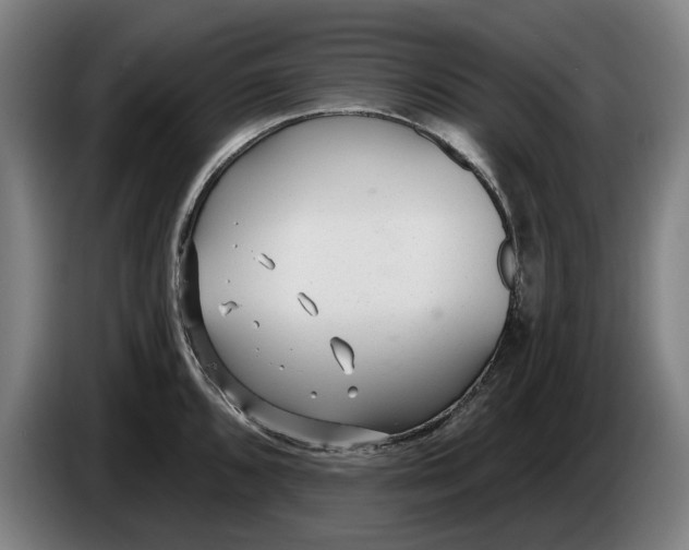 X0000086251096200704191837