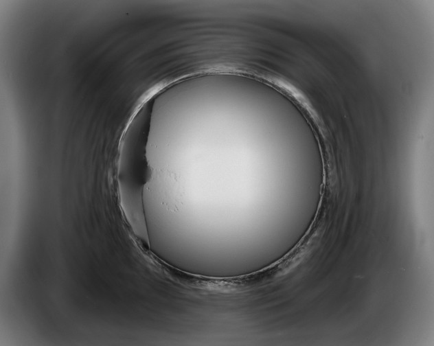 X0000086251097200704191837