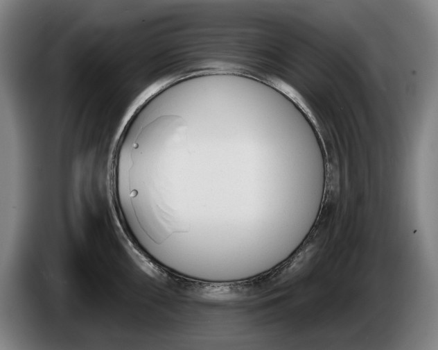 X0000086251098200704191837