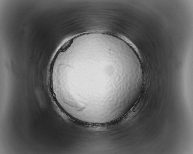 X0000086251099200704191837