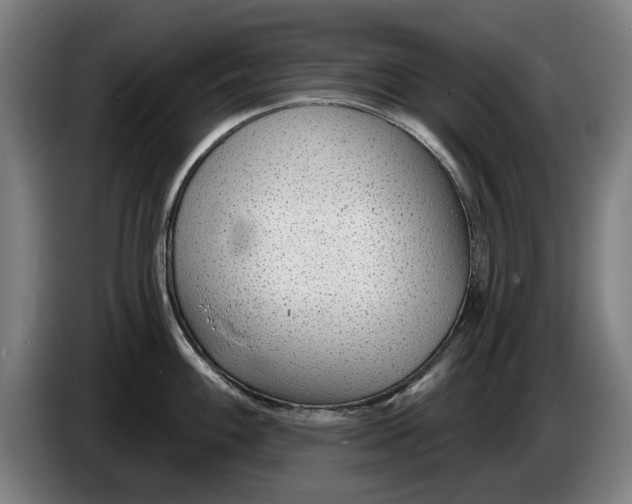 X0000086251100200704191837