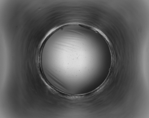 X0000086251101200704191837
