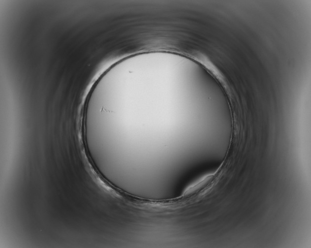 X0000086251102200704191837