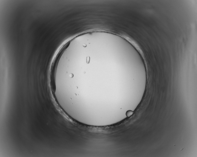 X0000086251104200704191837