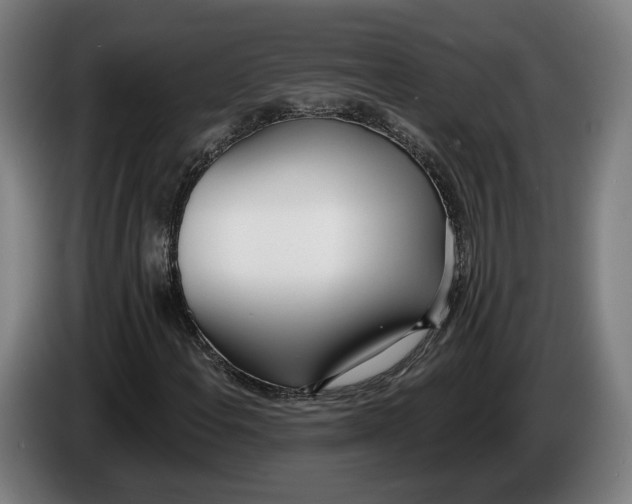 X0000086251108200704191836