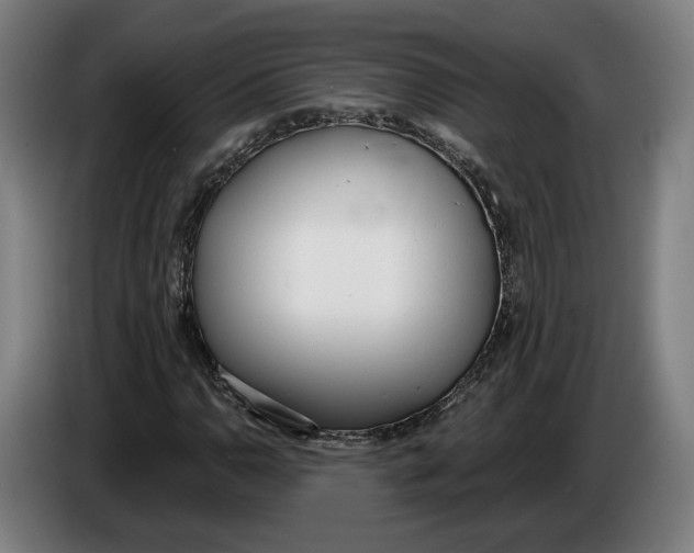 X0000086251110200704191836