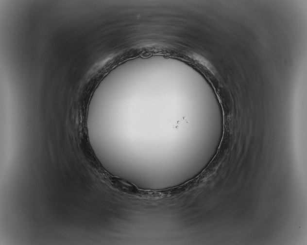 X0000086251111200704191836