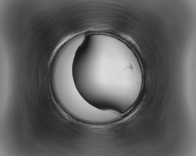 X0000086251114200704191837