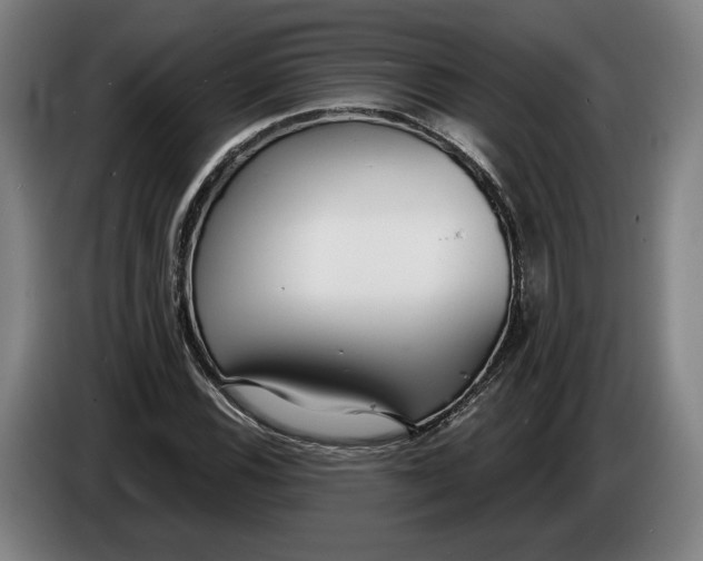 X0000086251116200704191837