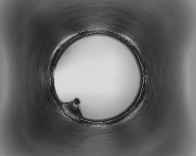 X0000086251117200704191837