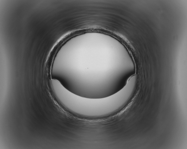 X0000086251118200704191837