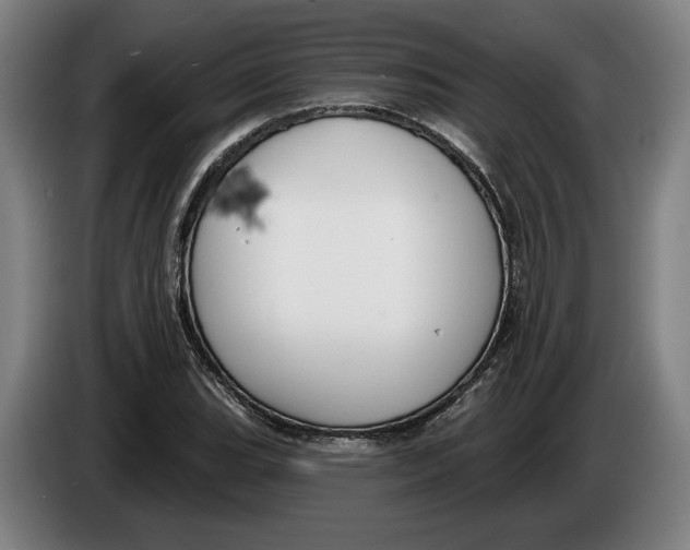 X0000086251119200704191837