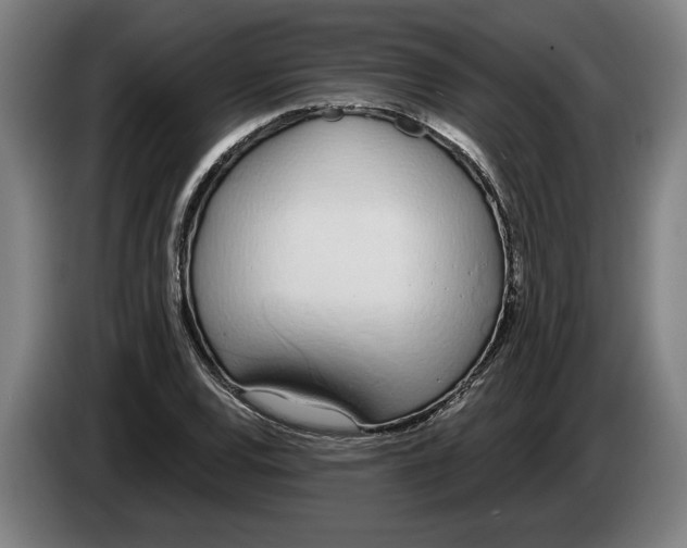 X0000086251120200704191837