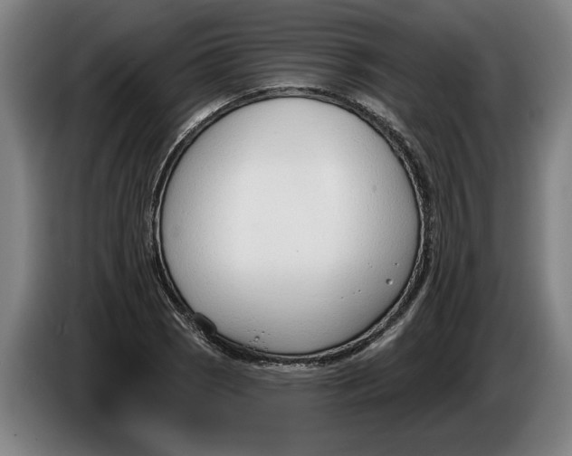 X0000086251121200704191837