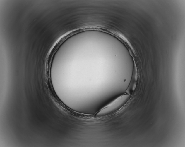 X0000086251124200704191837