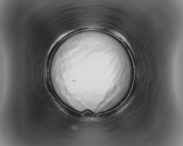 X0000086251125200704191837