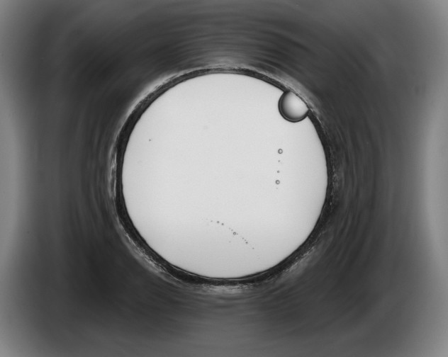 X0000086251126200704191837