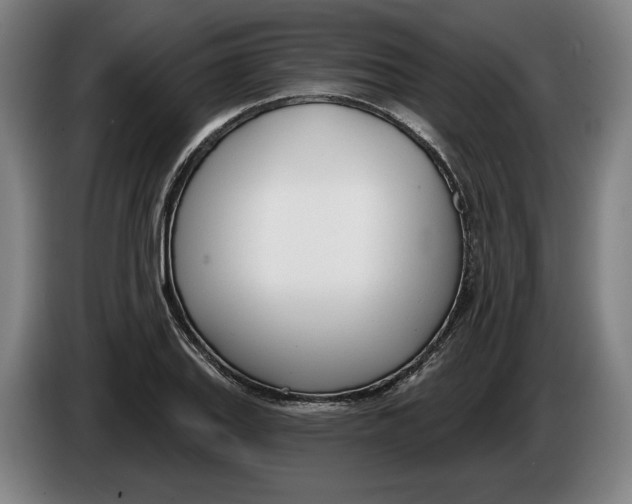 X0000086251127200704191837