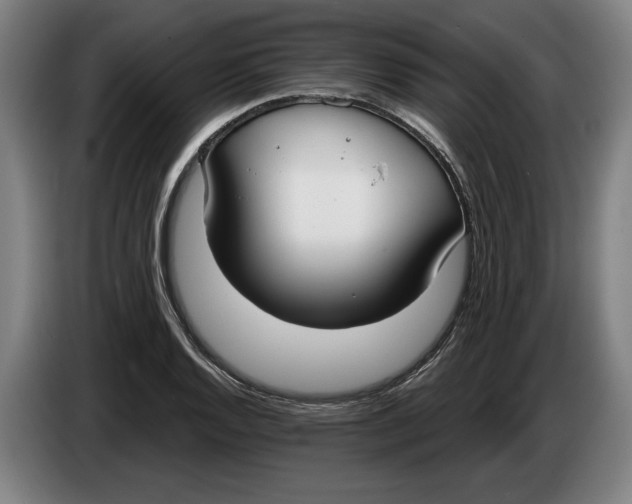 X0000086251128200704191837