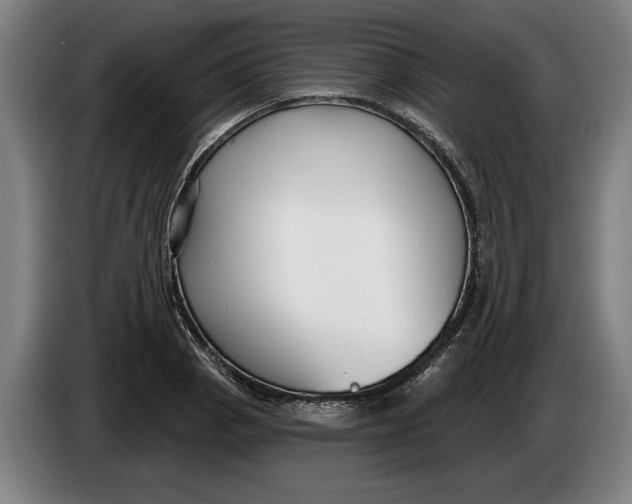 X0000086251129200704191837