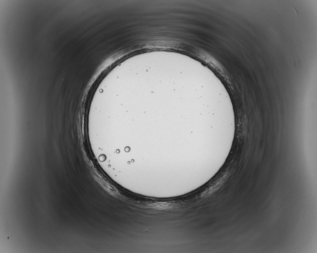 X0000086251130200704191837