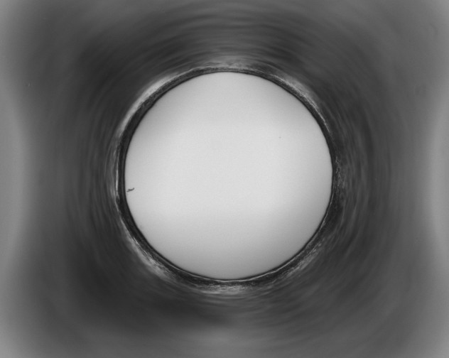 X0000086251131200704191837