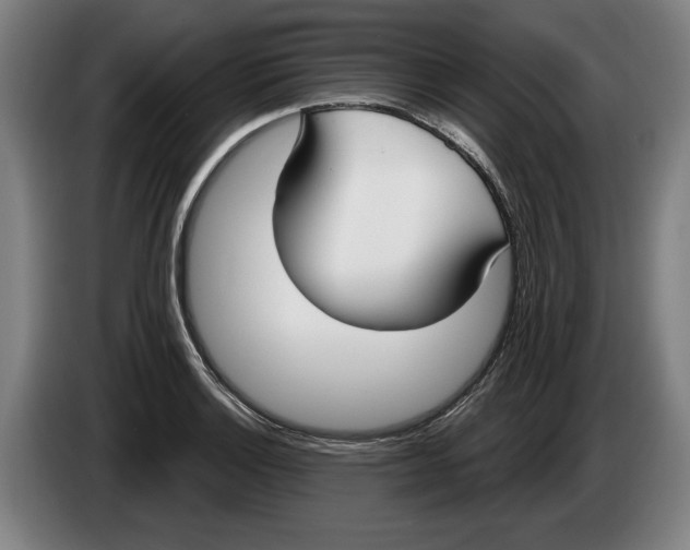 X0000086251132200704191837