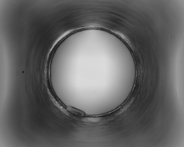 X0000086251134200704191837