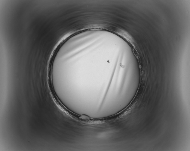 X0000086251135200704191837