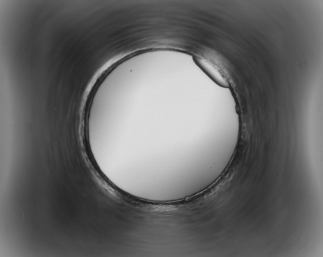 X0000086251136200704191837
