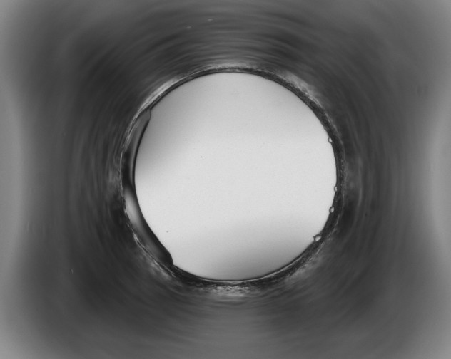 X0000086251137200704191837