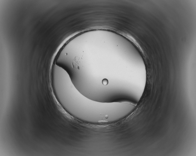X0000086251140200704191837