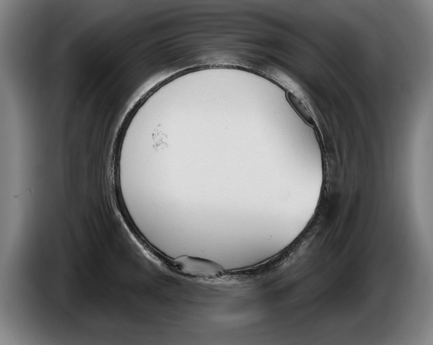 X0000086251141200704191837