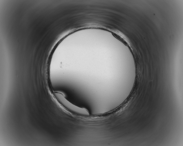 X0000086251142200704191837