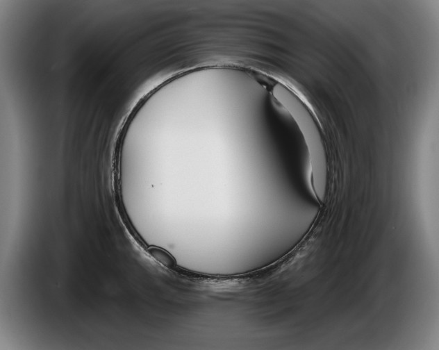 X0000086251143200704191837