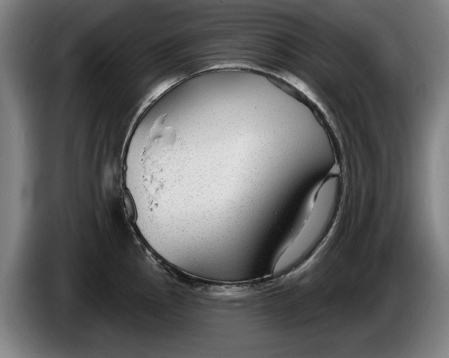 X0000086251145200704191837