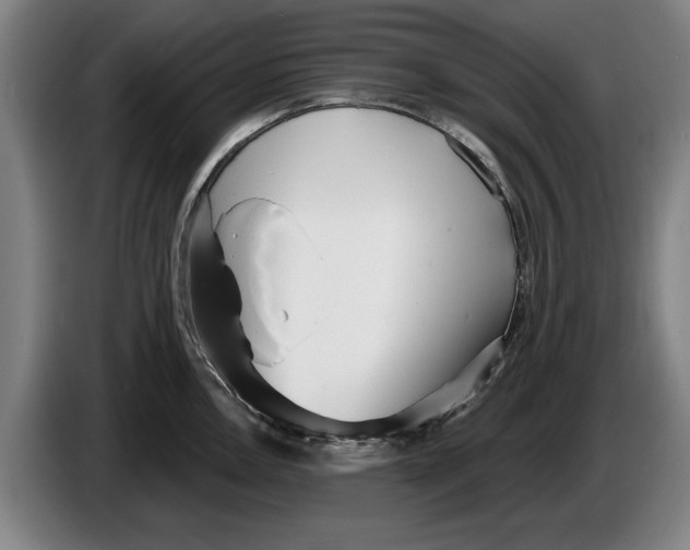 X0000086251146200704191837
