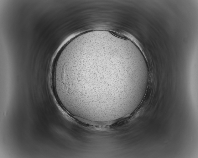 X0000086251147200704191837