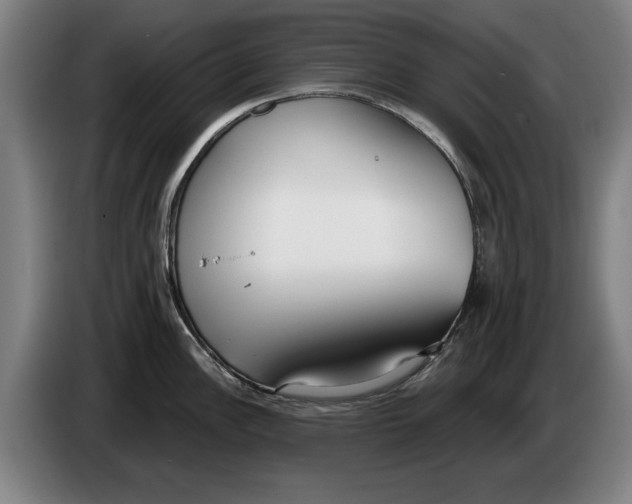 X0000086251148200704191837