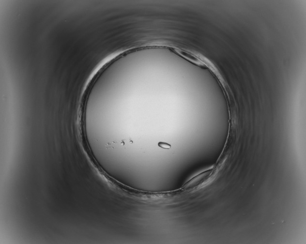 X0000086251149200704191837