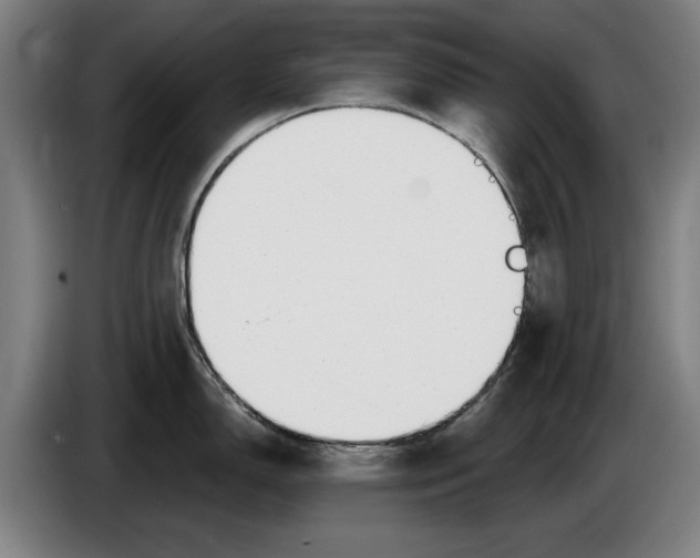 X0000086251150200704191837