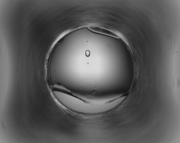 X0000086251151200704191837