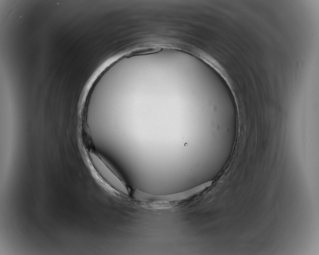 X0000086251152200704191837