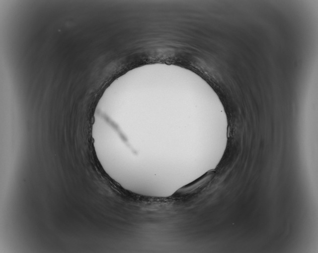 X0000086251153200704191836