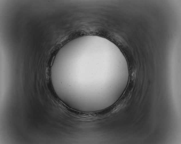 X0000086251156200704191836